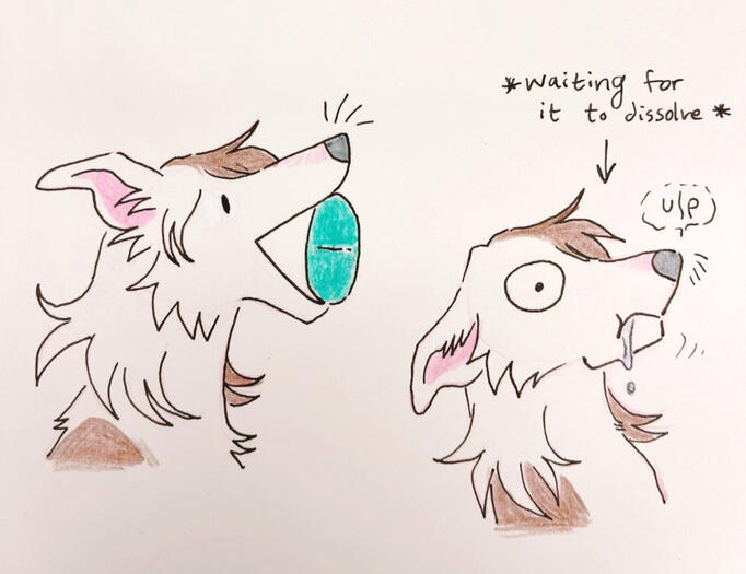 Ceadog swallowing a giant estrogen pill