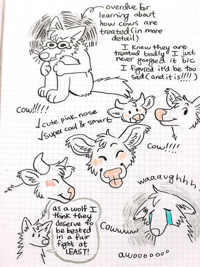 Journal page about cows 2